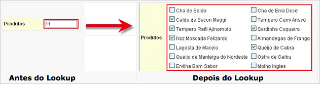 Configuração de exibição de campo com lookup de edição.