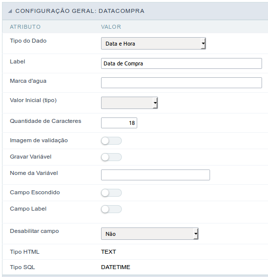 Interface de configuração do campo data e hora.