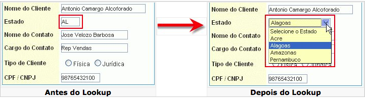 Configuração de exibição de campo com lookup de edição.