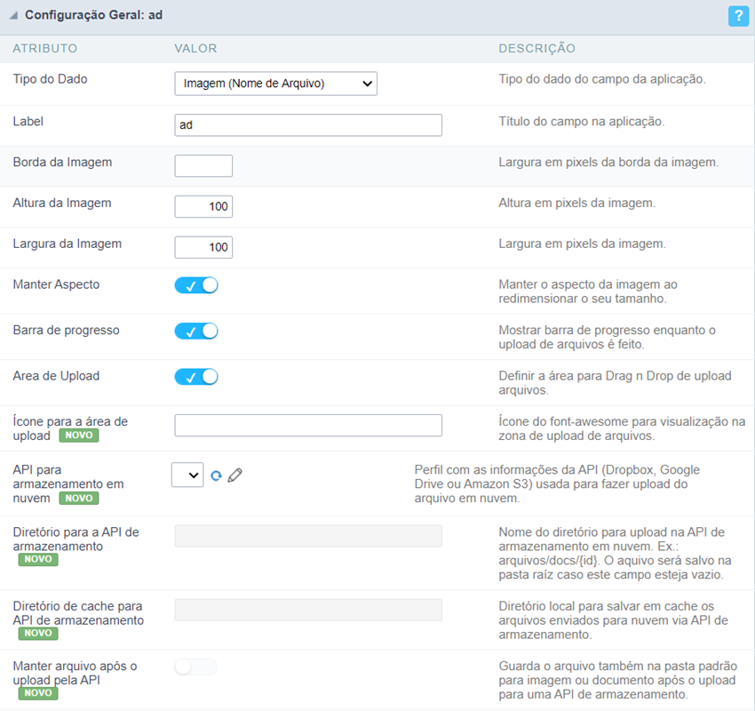 Interface de configuração do campo tipo Imagem ( Nome do Arquivo ).