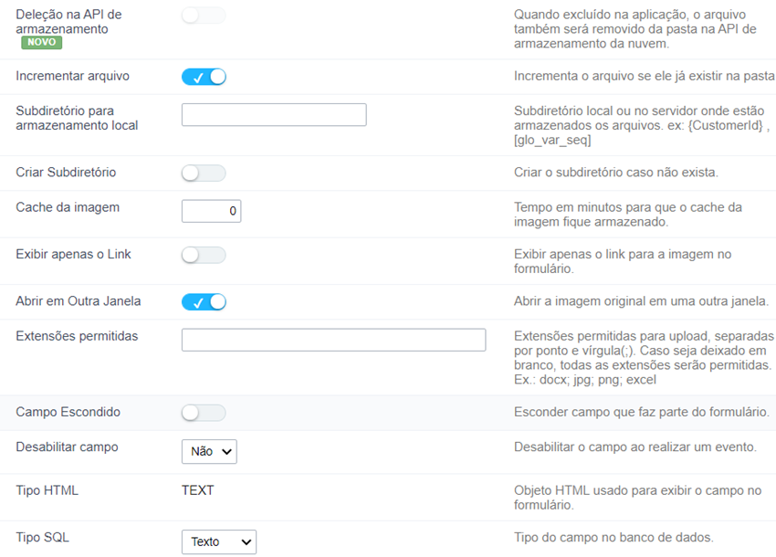 Interface de configuração do campo tipo Imagem ( Nome do Arquivo ).