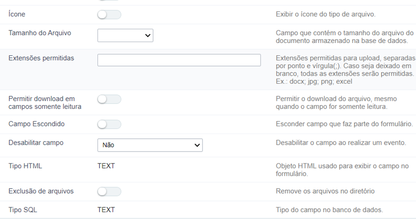 Interface de configuração do campo tipo Documento ( Nome do Arquivo ).