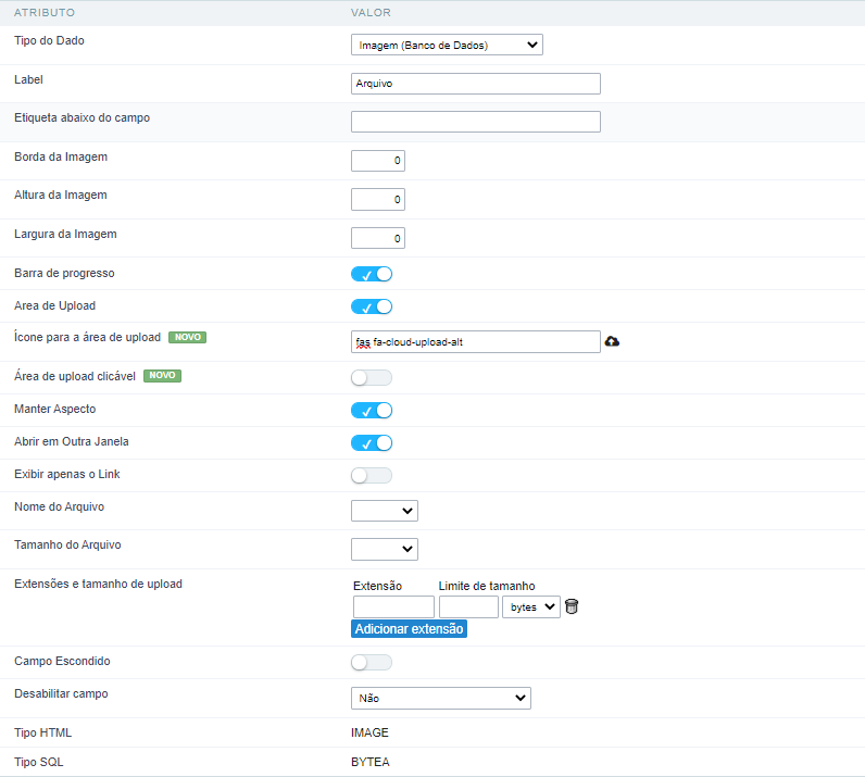 Interface de configuração do campo tipo Imagem ( Banco de Dados ).