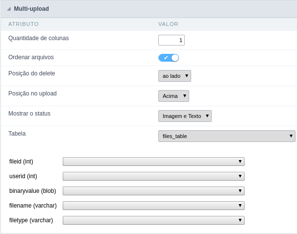 Configuração de campos da tabela para o Multi Upload.