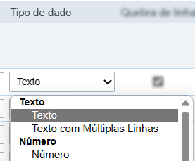 Exemplos de preenchimento do atributo tipo de dado