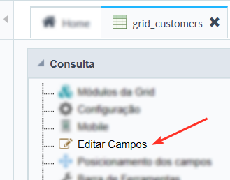 Menu editar campos