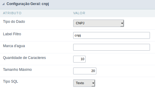 Interface de configuração do campo cnpj.