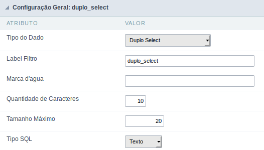 Interface de configuração do campo duplo select.