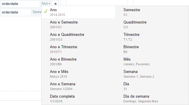 Intervalos de visualização disponíveis no campo date e datetime.